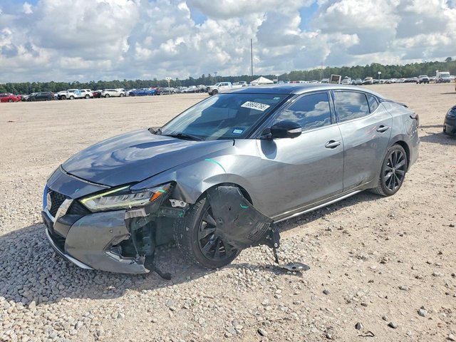 Nissan Maxima, 2019